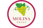 Grupo Molina